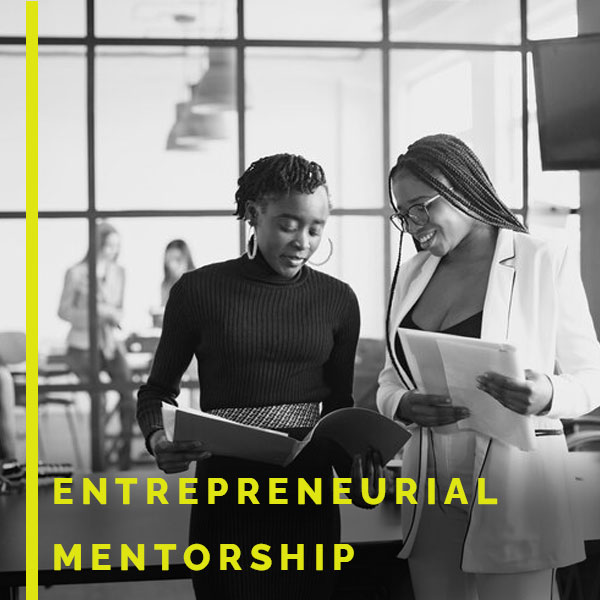 Entrepreneurial Mentorship